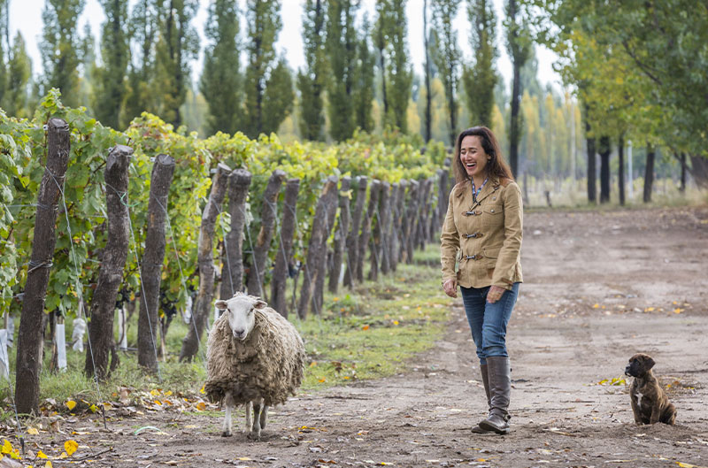 Die lachende Laura Catena von Catena Zapata auf dem Weingut mit einem Schaf und einem Hund