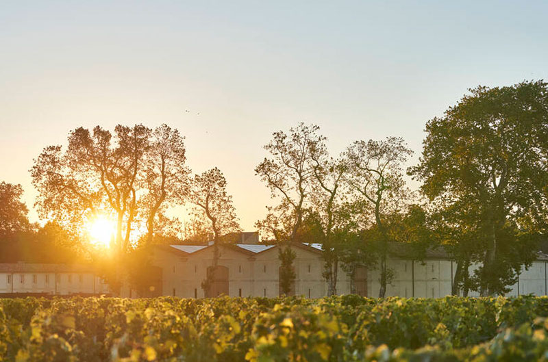Armailhac Sonnenuntergang Chateau Armailhac Sonnenuntergang