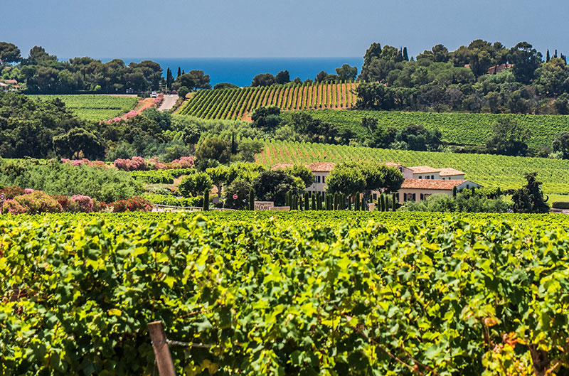 Domaine de la Croix