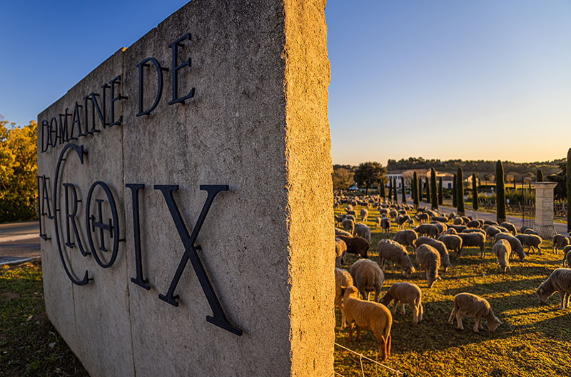 Domaine de la Croix