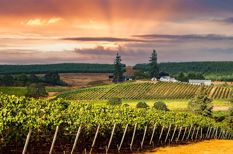 Oregon Oregon