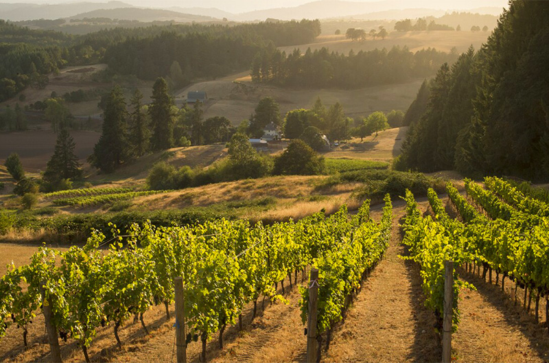 Oregon Oregon