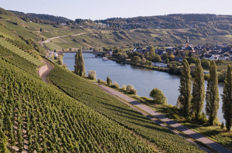 Ansgar Clüsserath Weinberg an der Mosel