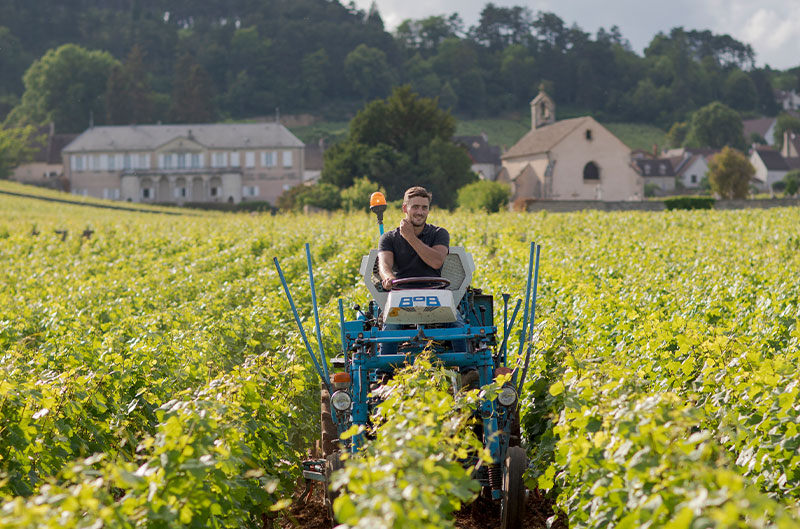Clerget online kaufen Tesdorpf.de
