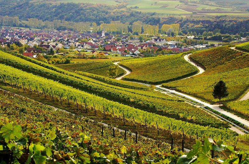 Bickel Stumpf Weinberge