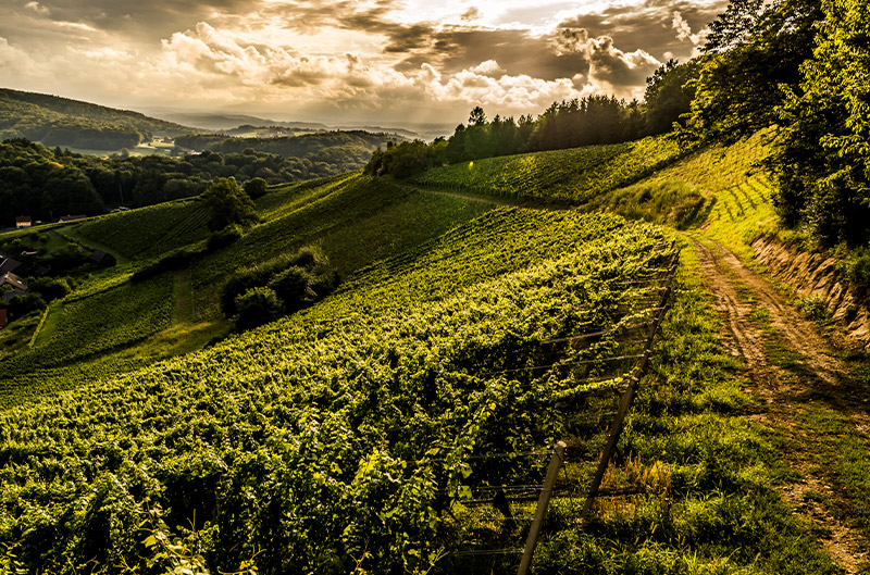 Harkamp Landschaft Harkamp Landschaft