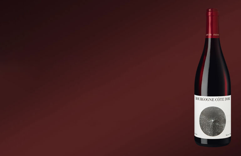 Maison Louis Jadot