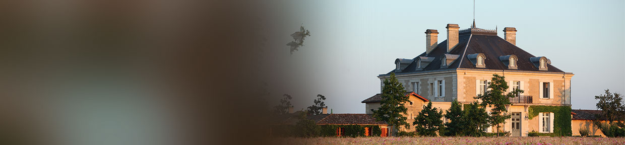 Château Haut-Bailly