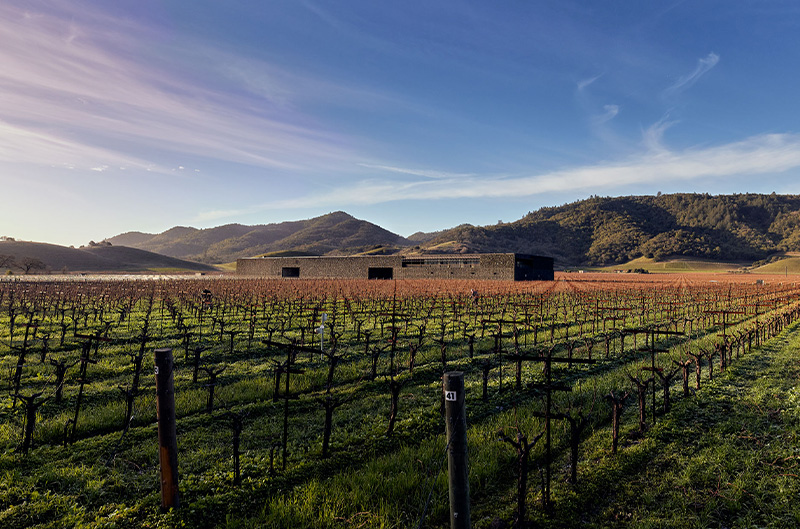 Dominus Estate