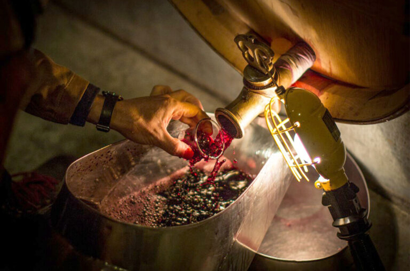 Dominus Estate