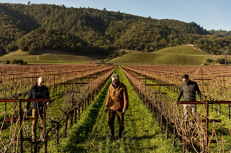 Dominus Estate