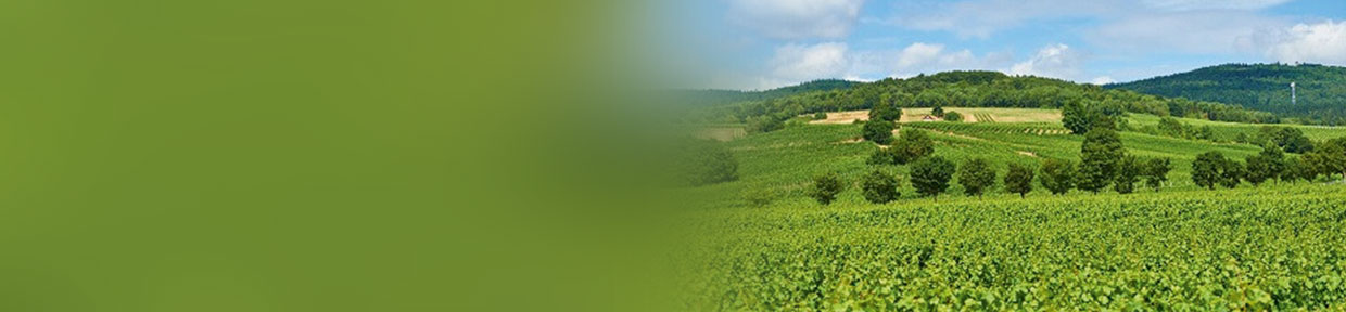 Burgenland