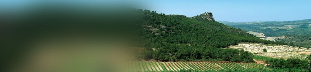 Priorat