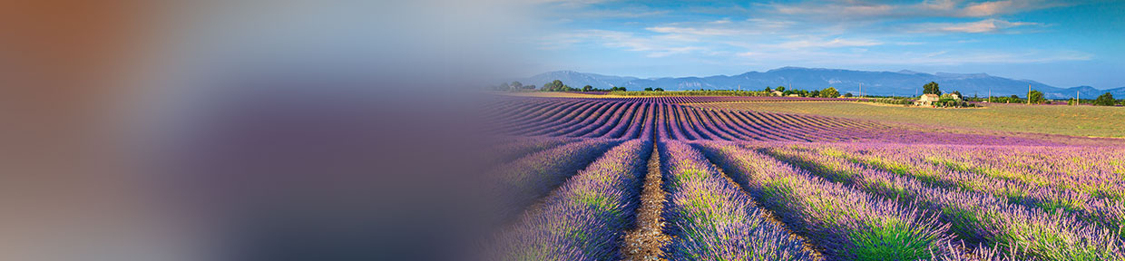 Provence