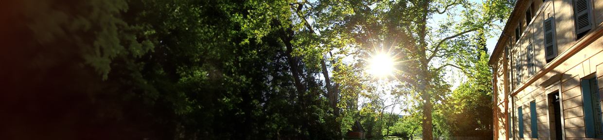 Saint-Martin Header