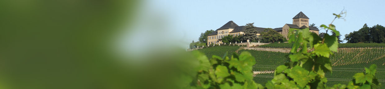 Schloss Johannisberg