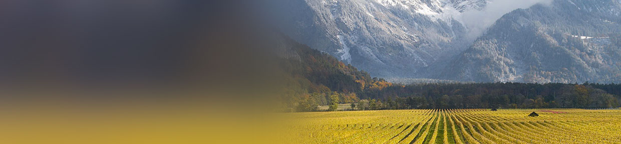 Schweiz