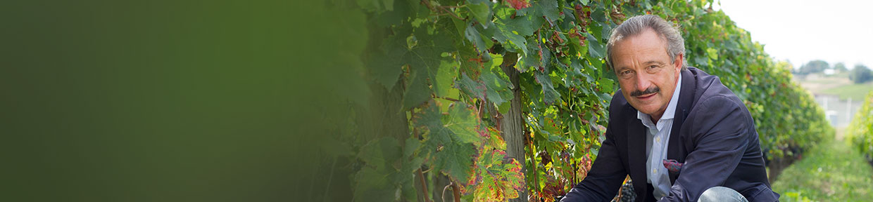 Vignobles Comtes von Neipperg
