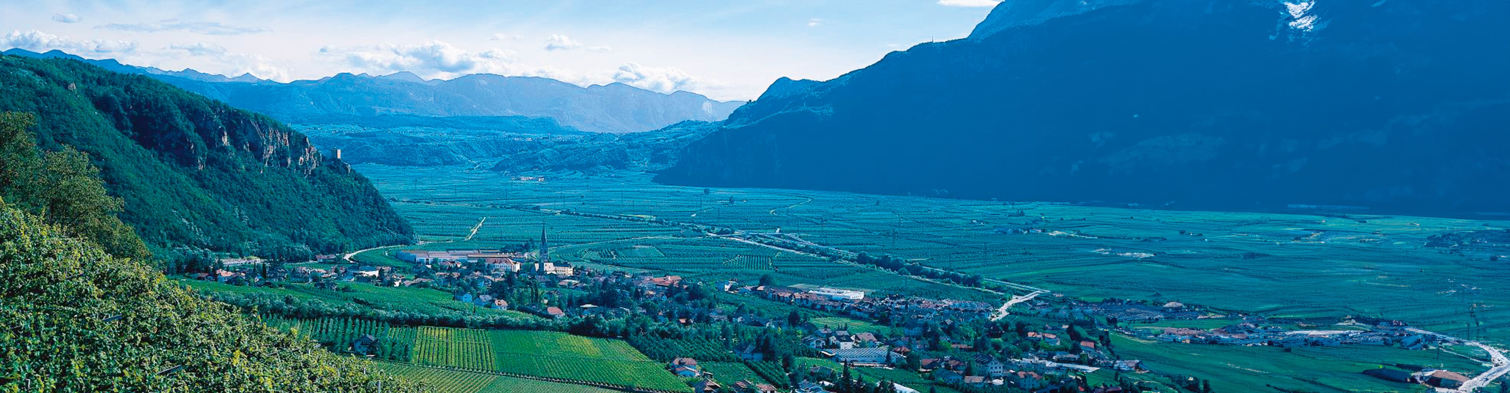 Terlan Landschaft