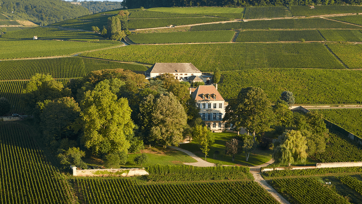 Maison Louis Latour